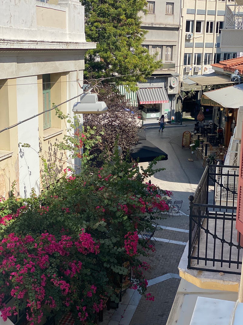 View looking down onto bouganvillia and an empty street with a pedestrian in the distance