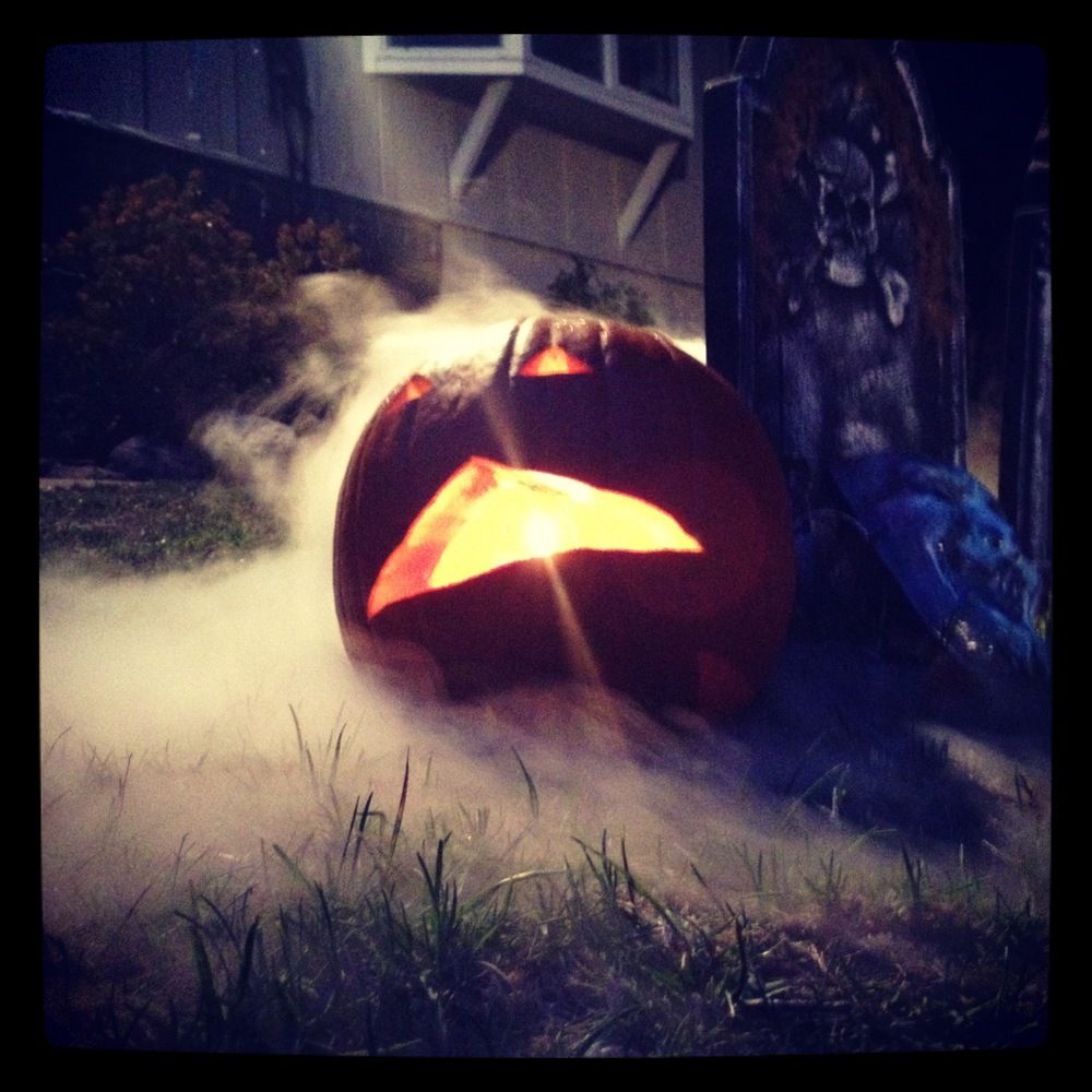 Halloween night on our lawn