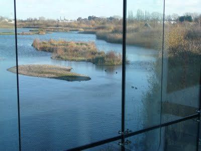 London Wetlands