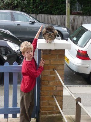 Jasper and the cat