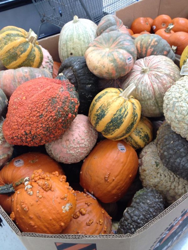 Pumpkins galore