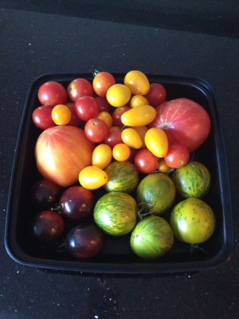 Tomatoes from farmers market